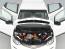 2017 Chevrolet Bolt - Images - 4