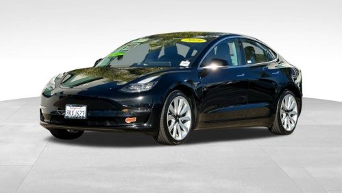 2019 Tesla Model 3 5YJ3E1EA7KF317638