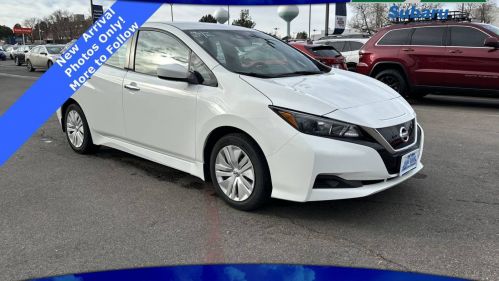 2020 Nissan LEAF 1N4AZ1BPXLC310580