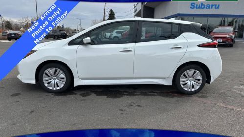 2020 Nissan LEAF 1N4AZ1BPXLC310580