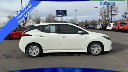 2020 Nissan LEAF 1N4AZ1BPXLC310580