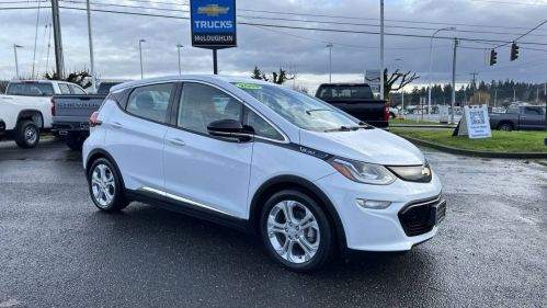 2019 Chevrolet Bolt 1G1FY6S0XK4116667