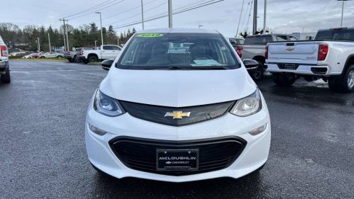 2019 Chevrolet Bolt 1G1FY6S0XK4116667