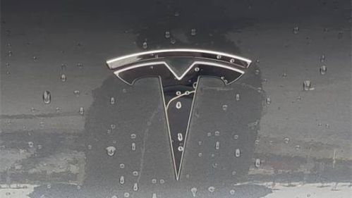 2020 Tesla Model 3 5YJ3E1EB5LF735951