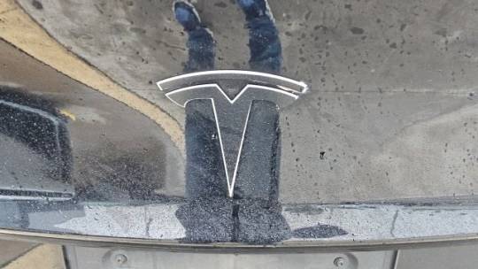 2020 Tesla Model 3 5YJ3E1EA1LF613272