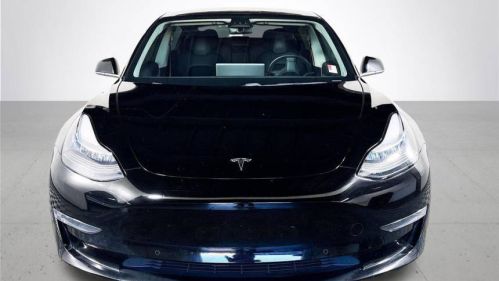 2019 Tesla Model 3 5YJ3E1EAXKF395153