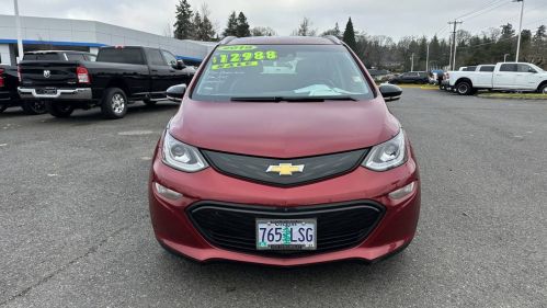 2019 Chevrolet Bolt 1G1FZ6S09K4114194