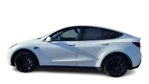 2020 Tesla Model Y 5YJYGDEE3LF053503