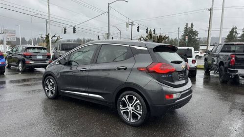 2019 Chevrolet Bolt 1G1FZ6S00K4117601