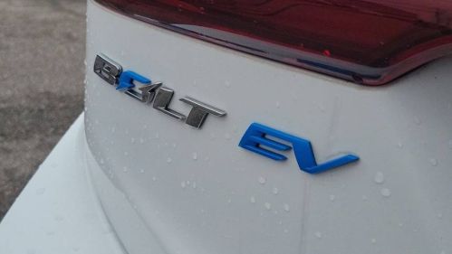 2019 Chevrolet Bolt 1G1FZ6S05K4113270