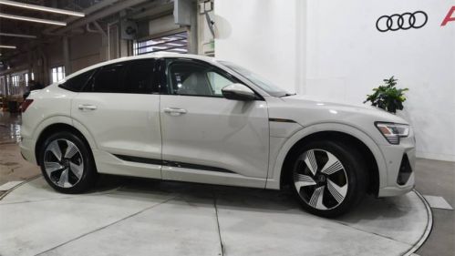 2021 Audi e-tron WA13AAGE5MB041388