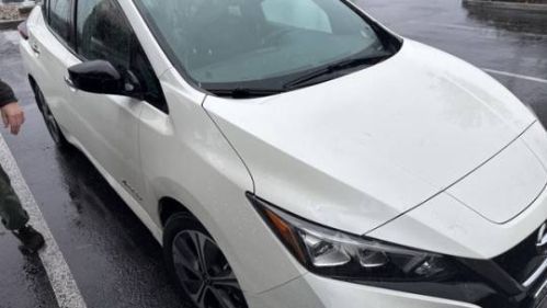 2018 Nissan LEAF 1N4AZ1CPXJC314141