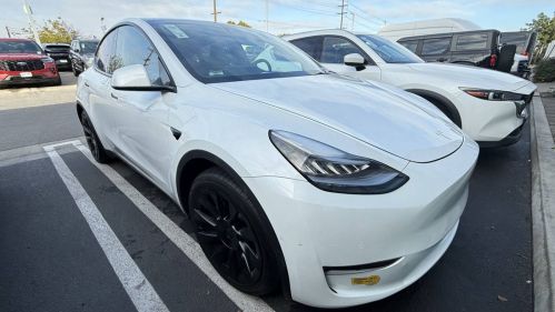 2021 Tesla Model Y 5YJYGDEE0MF161322