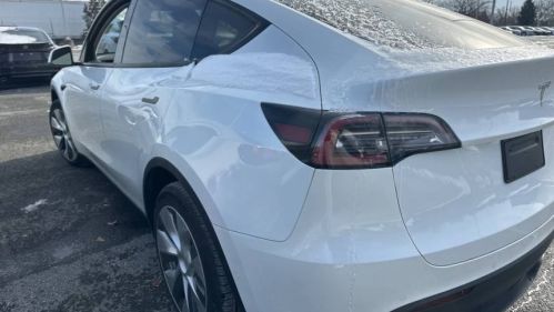 2020 Tesla Model Y 5YJYGDEE5LF026710