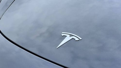 2020 Tesla Model 3 5YJ3E1EA2LF543040