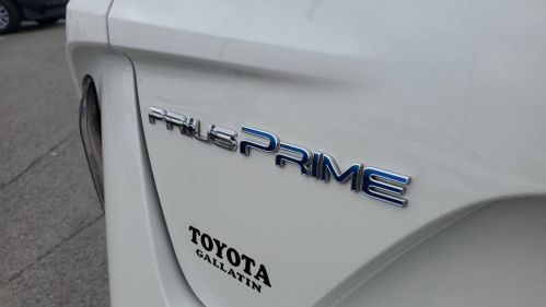 2020 Toyota Prius Prime JTDKARFP6L3125859