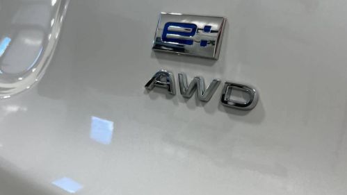 2020 Chevrolet Bolt 1G1FY6S0XL4114922