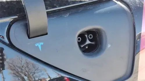2019 Tesla Model 3 5YJ3E1EA3KF306930